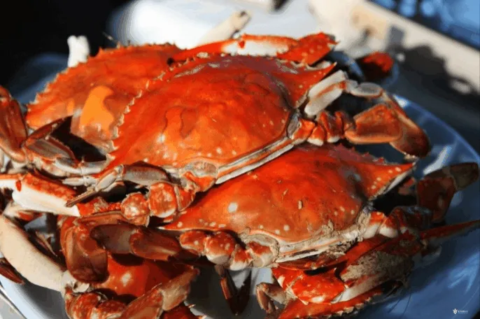 군산 선주네포차 조촌점 가을꽃게찜 1kg 공식 메뉴 이미지