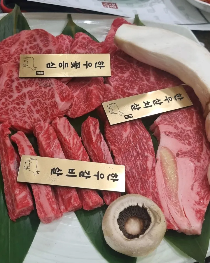 방문객이 남긴 사진 8