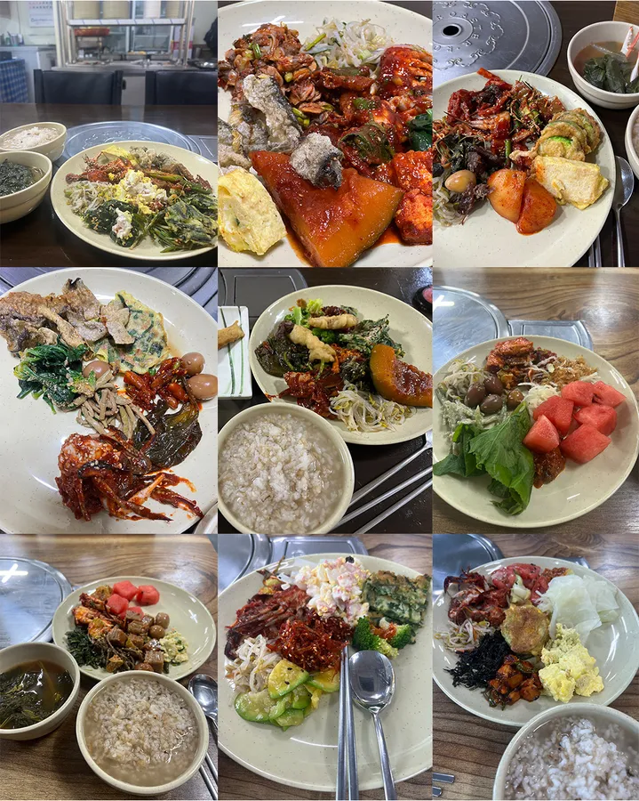 방문객이 남긴 고향정 사진