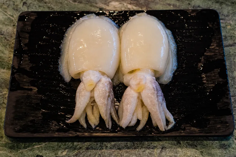 갑오징어(2)